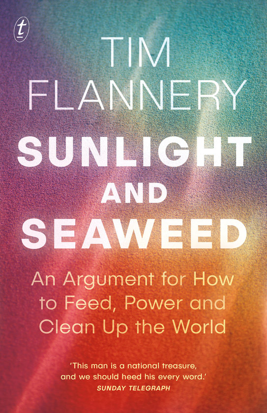 Sunlight and Seaweed
